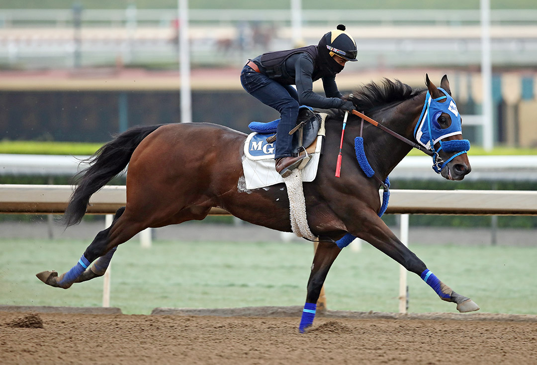Sharp Samurai trains at Santa Anita Park on Sept. 26