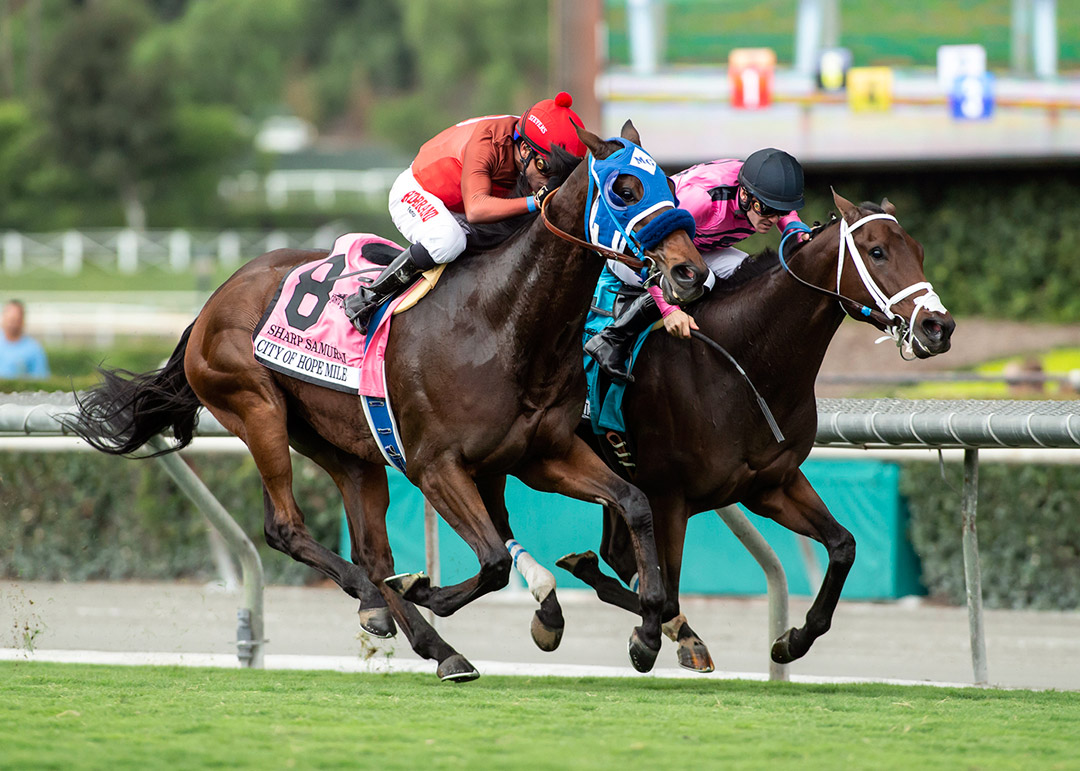 Sharp Samurai (left) wins the 2018 City of Hope Mile at Santa Anita