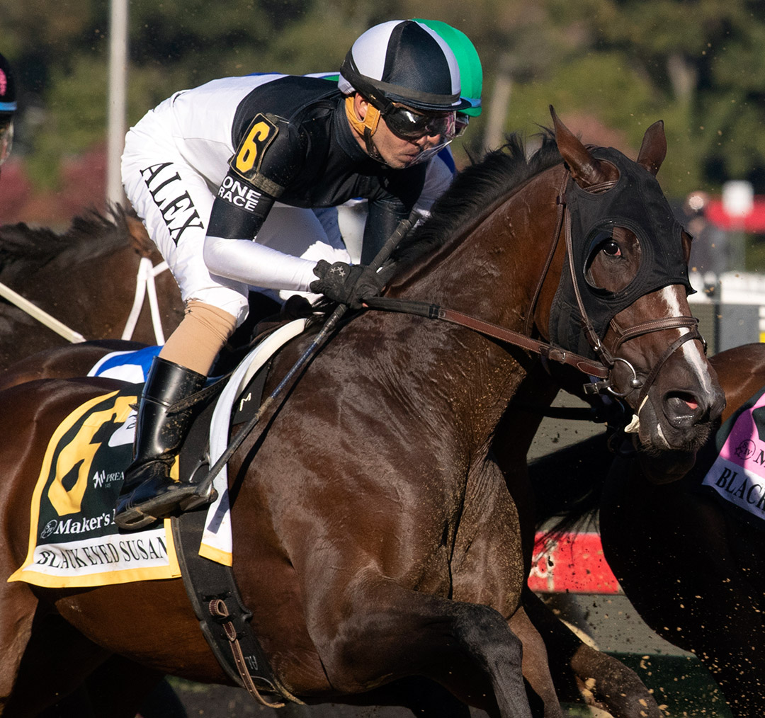 Sharp Starr finishes seventh in the Black-Eyed Susan at Pimlico