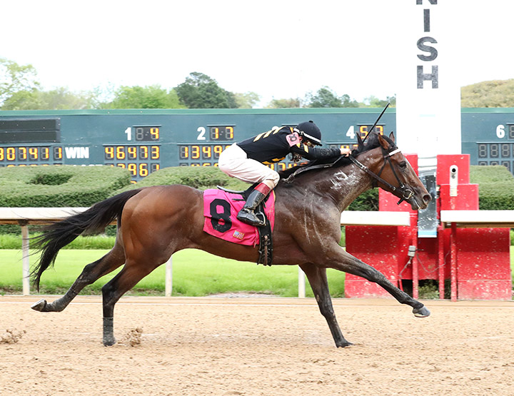 Shashashakemup wins an April 5 allowance at Oaklawn
