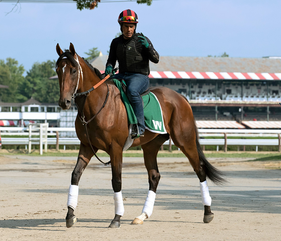 Shashashakemeup at Saratoga Race Course on Aug. 11