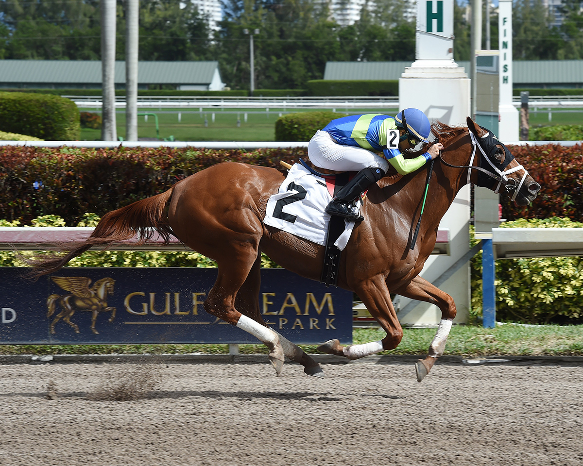 She Takes Heart wins a Feb. 9 allowance