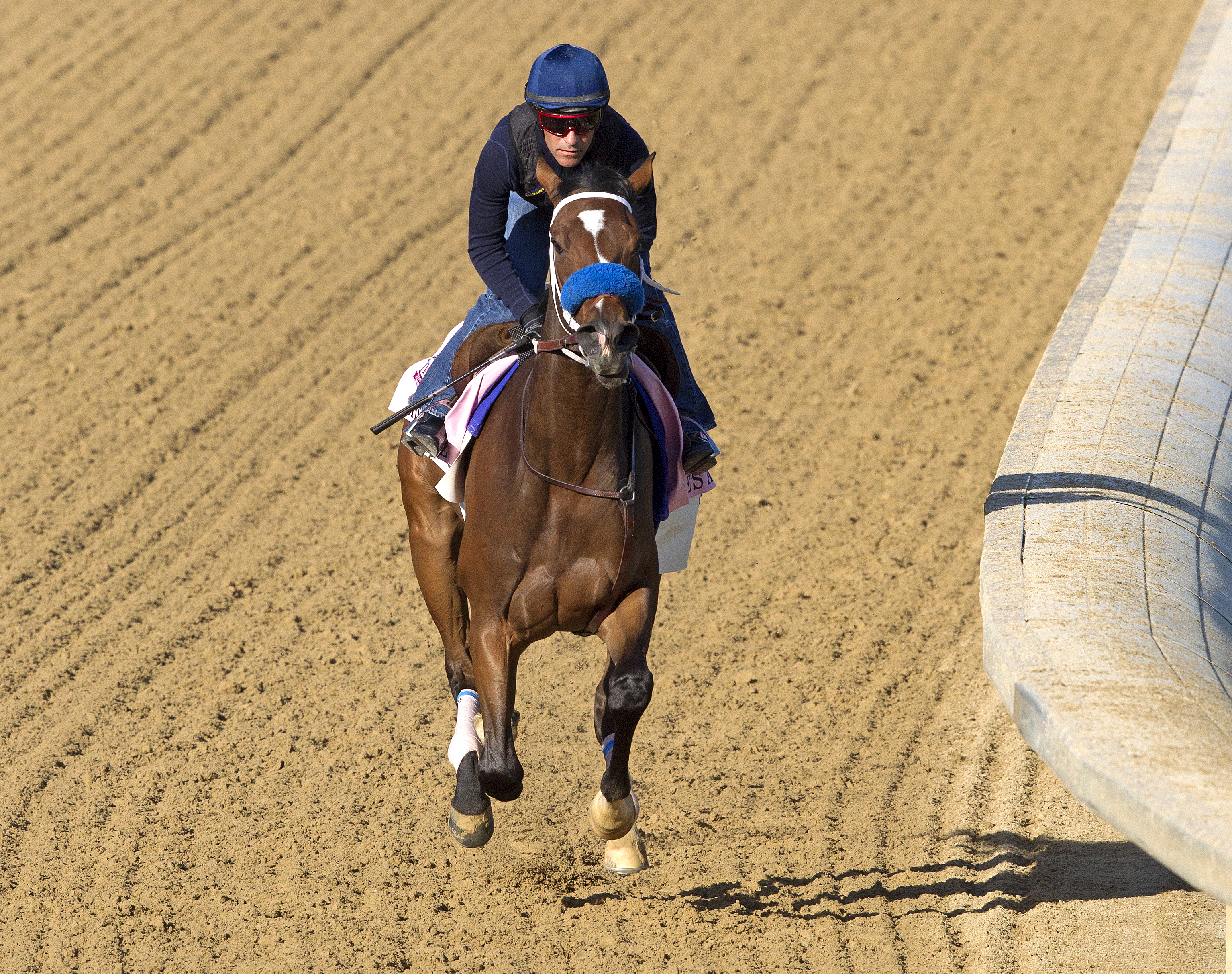 She's a Tiger trains on April 26