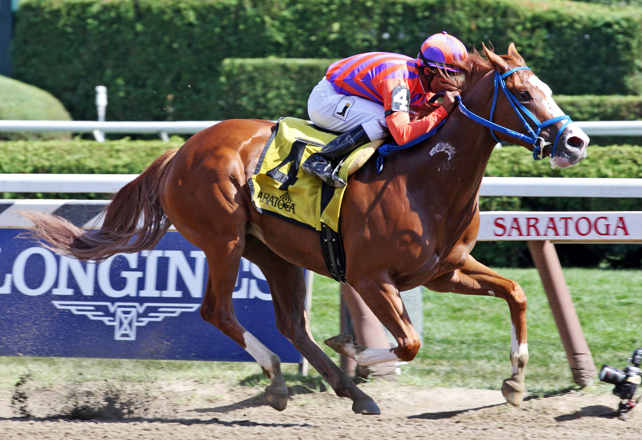 She's All Ready wins the Seeking the Ante Stakes