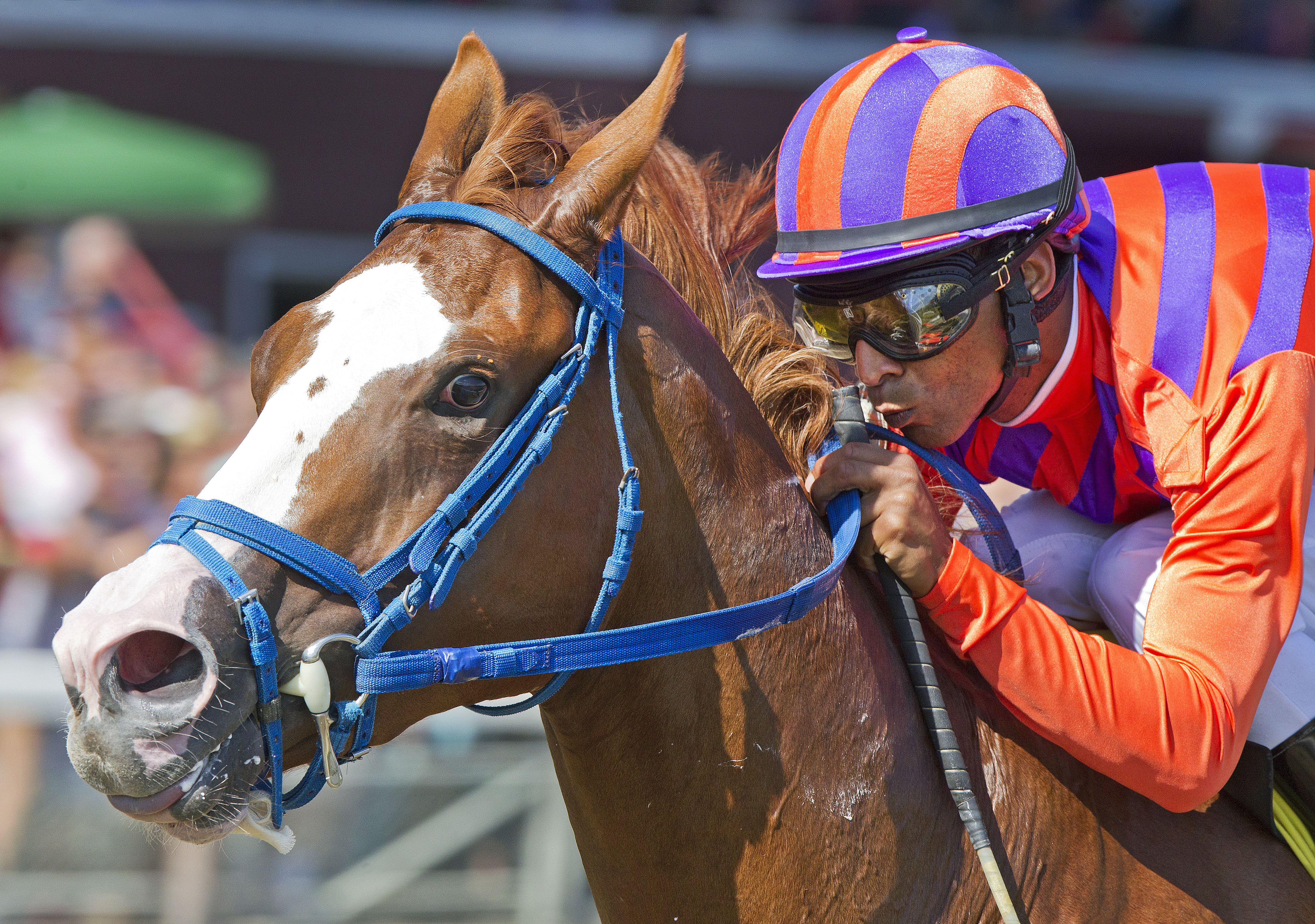She's All Ready wins the Seeking the Ante Stakes