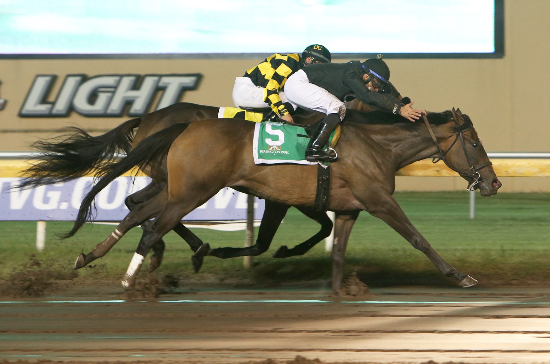 She's All Wolfe.Oklahoma Stallion Stakes.9-11-2020