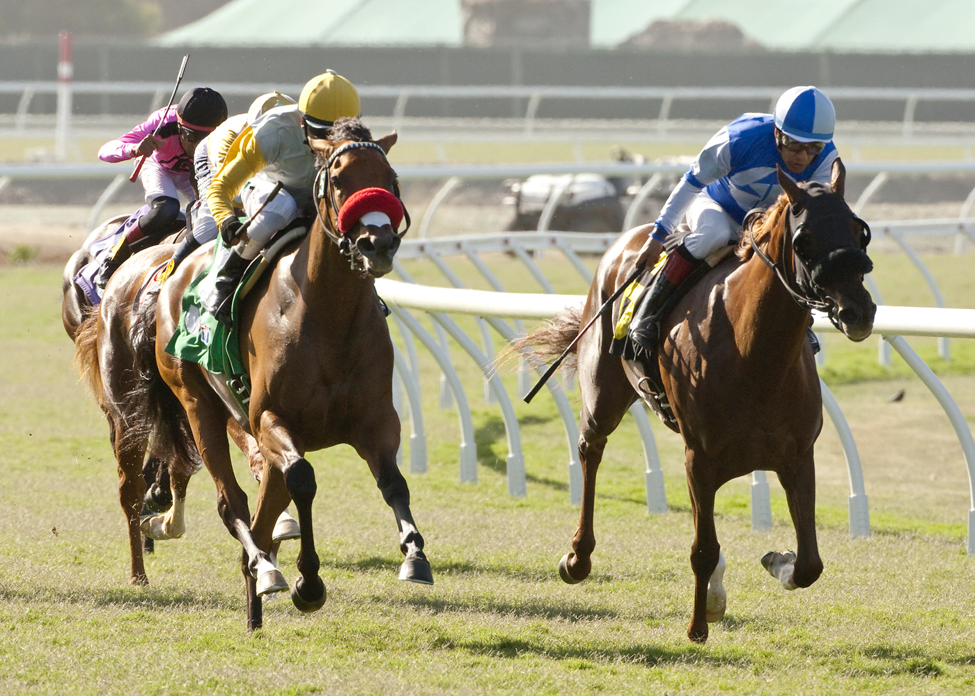 Sea Mona finishes second in the Oak Tree Juvenile Fillies Turf