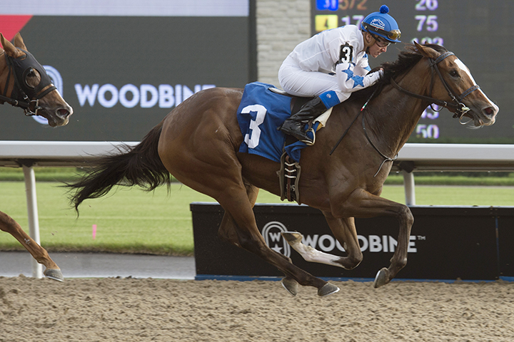 She-s Got Fire wins an optional claimer at Woodbine on Oct. 6, 2018