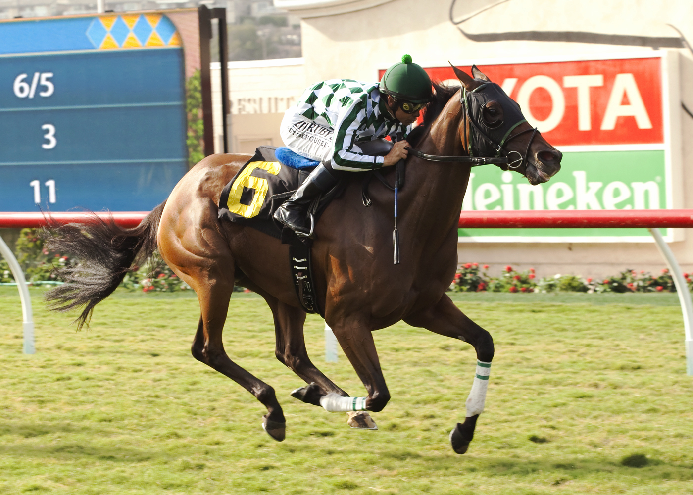 She's Not Here wins an optional claiming race