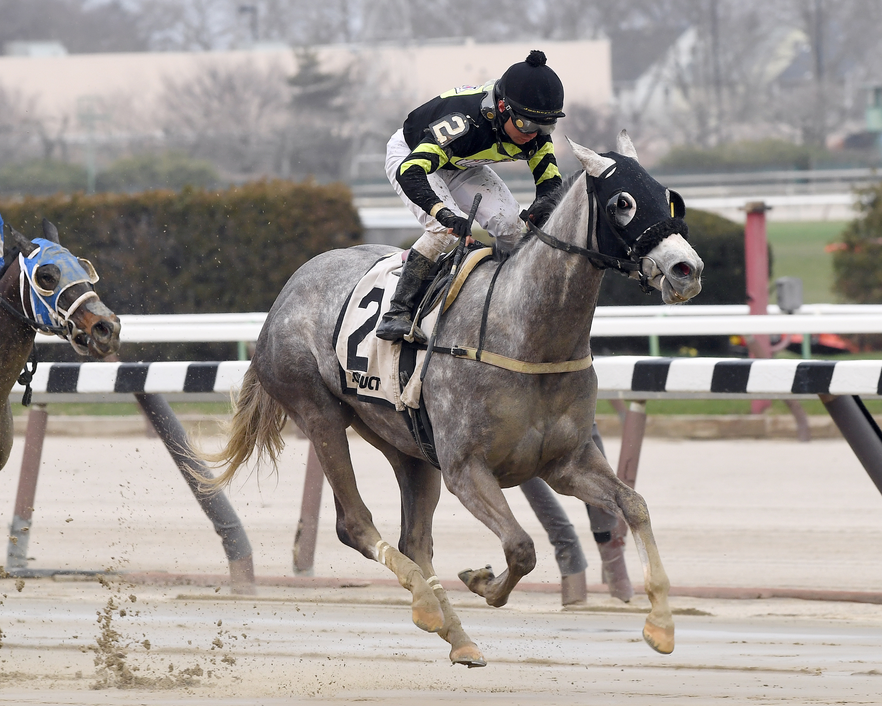 She-s So Fine wins the 2017 Karakorum Elektra Stakes