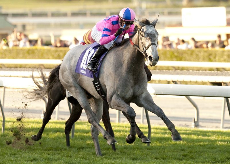 She's a Big Winner wins 2015 Sweet Life
