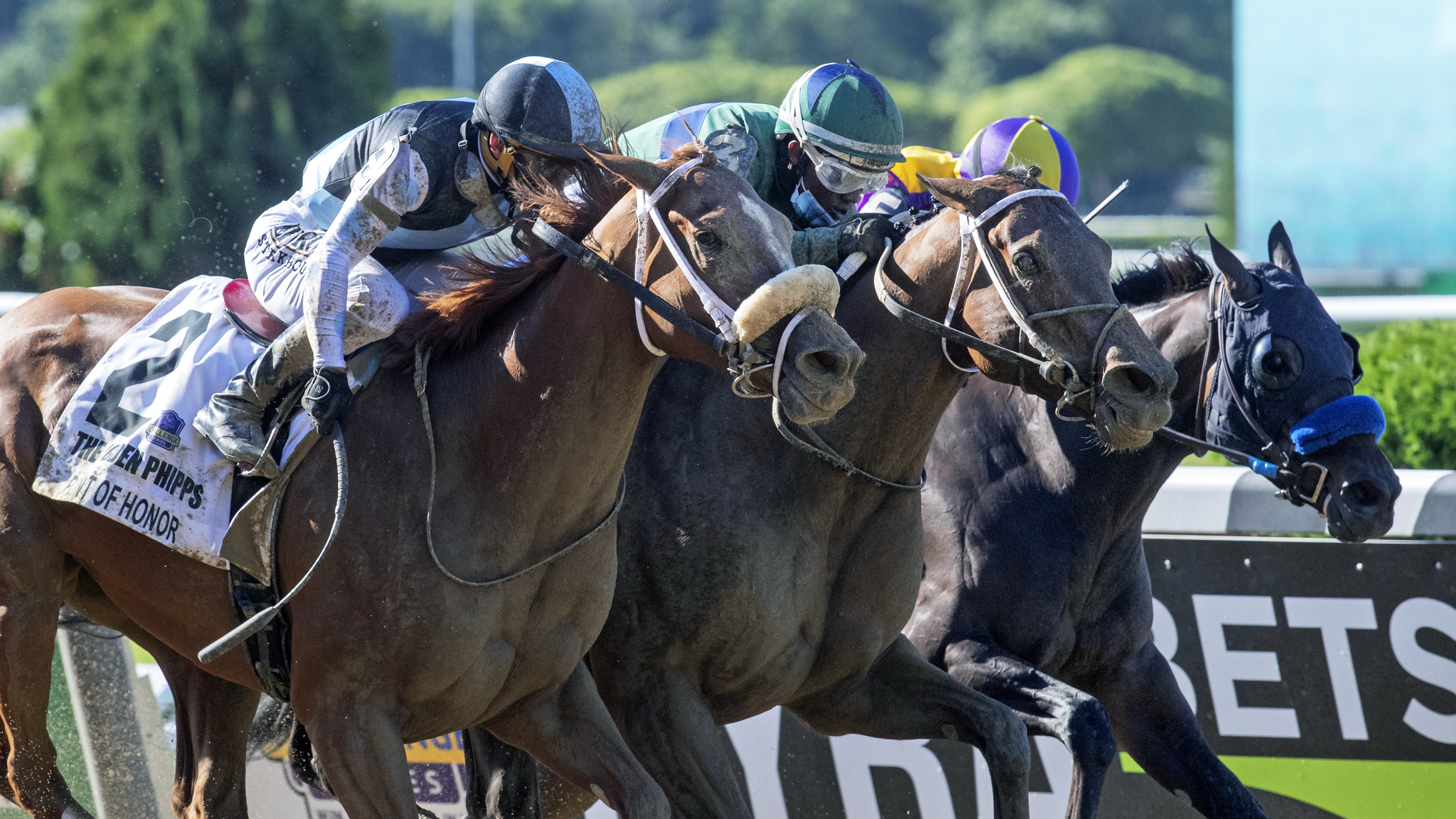 She's a Julie (center) beats Ollie's Candy (right) and Point of Honor in the Phipps 6-13-2020
