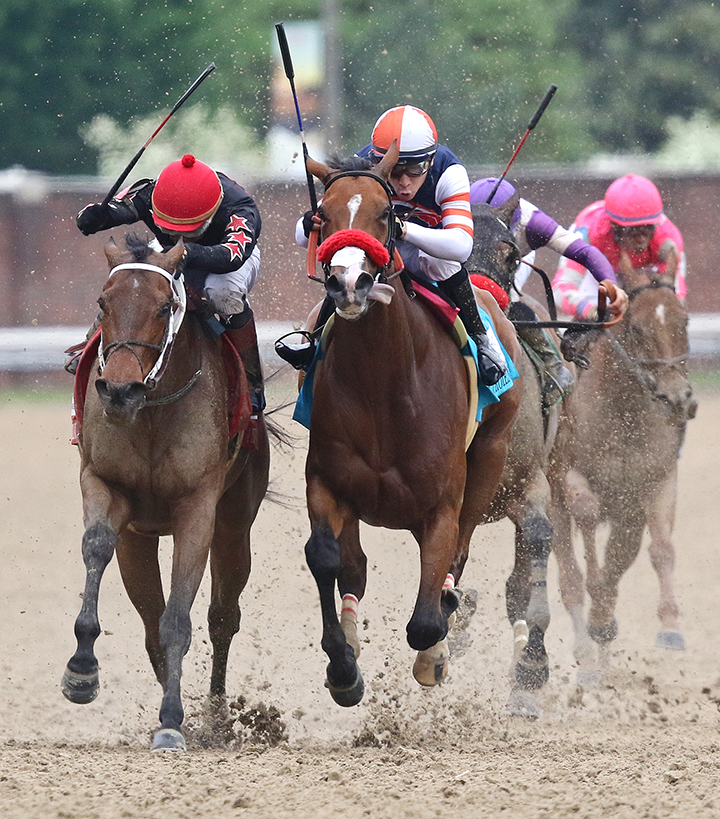 She's a Julie wins the 2019 La Troienne