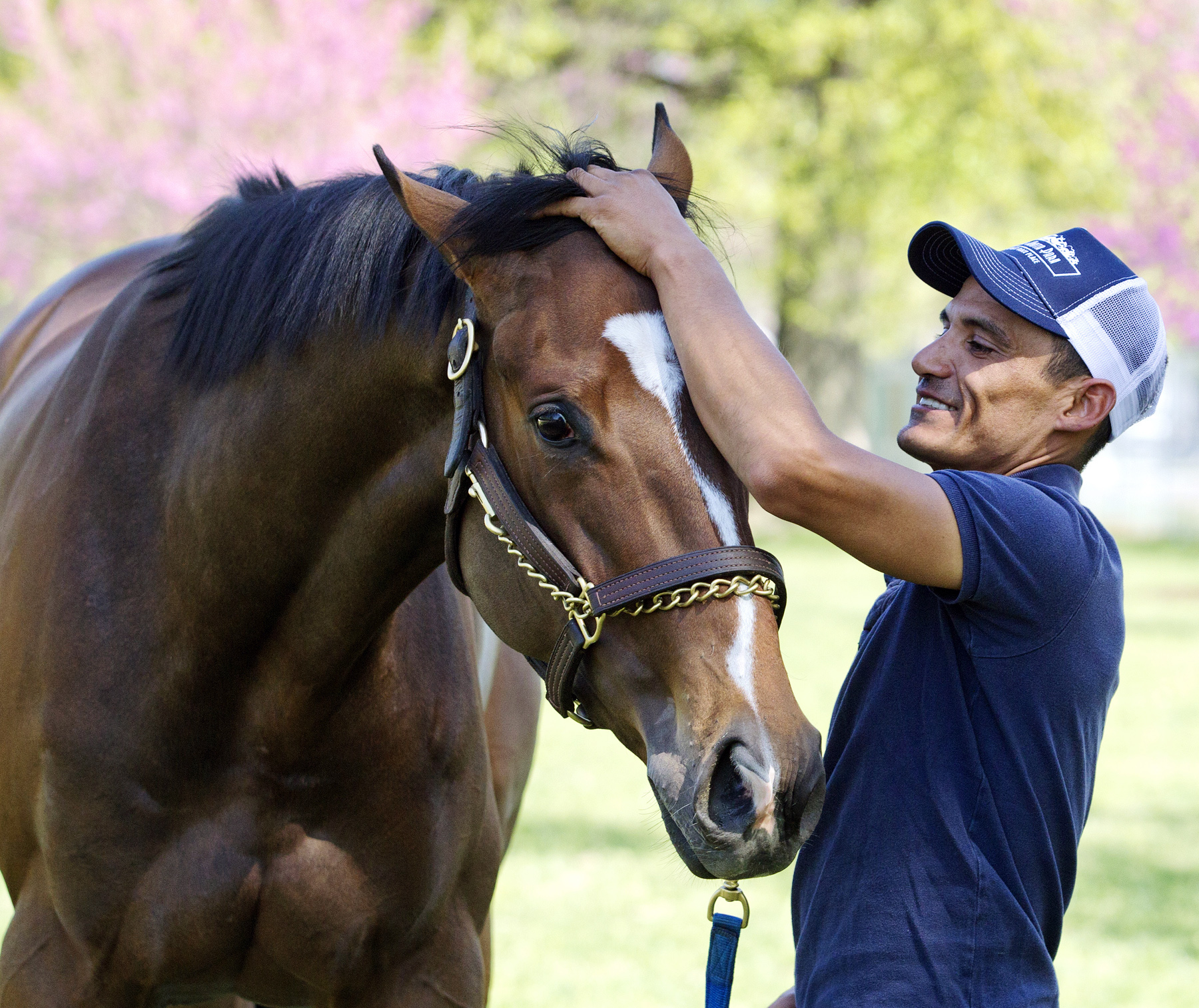 She's a Tiger with Tony Gutierrez