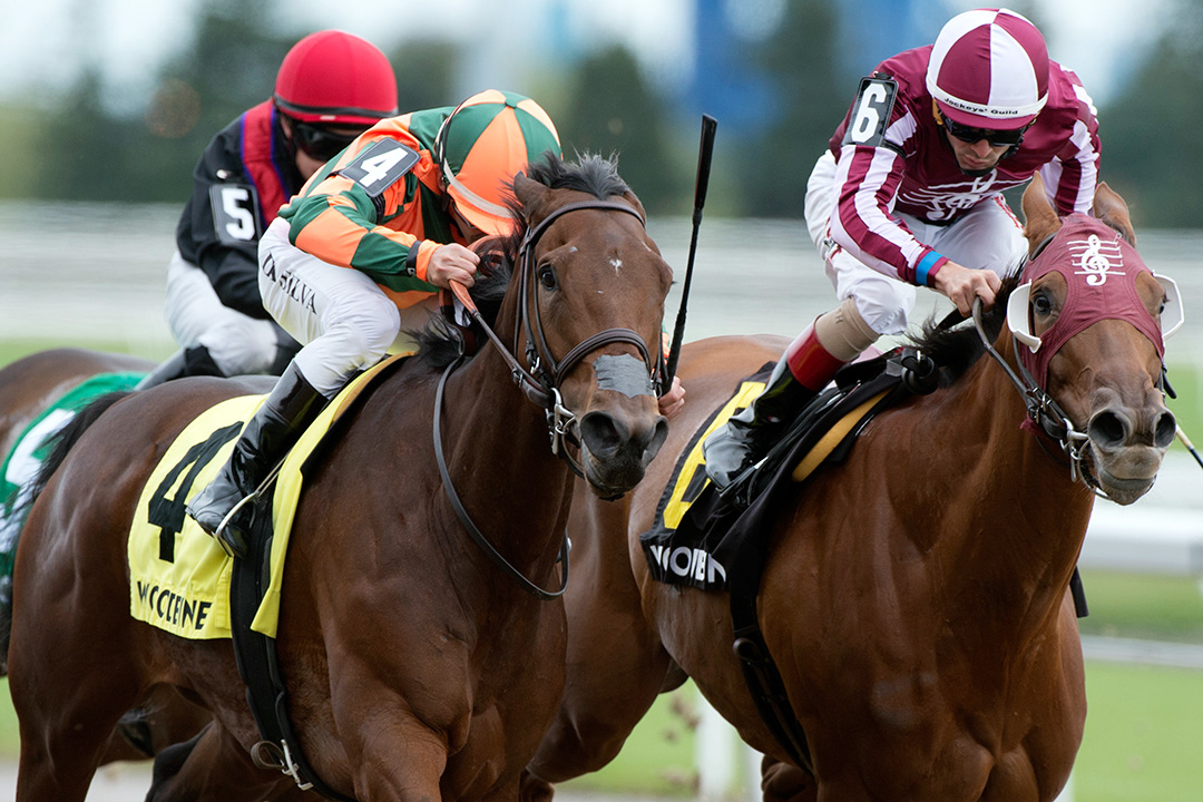 Red Cabernet (right) finishes second in the 2019 Classy 'N Smart Stakes at Woodbine