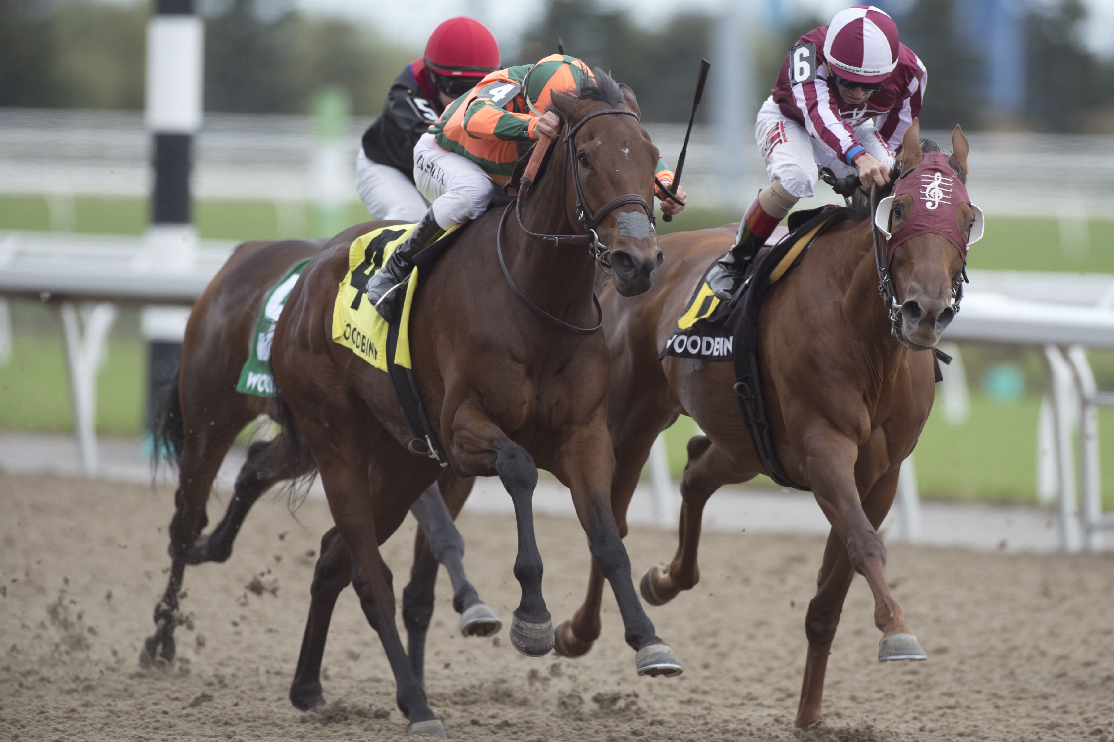She's the Berries (left) wins the 2019 Classy N Smart Stakes