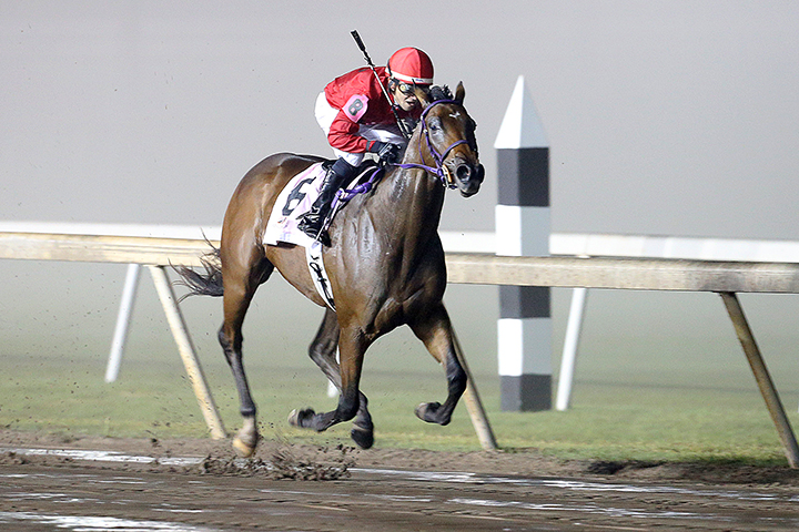 She-s Shiney wins the 2018 Oklahoma Classics Lassie