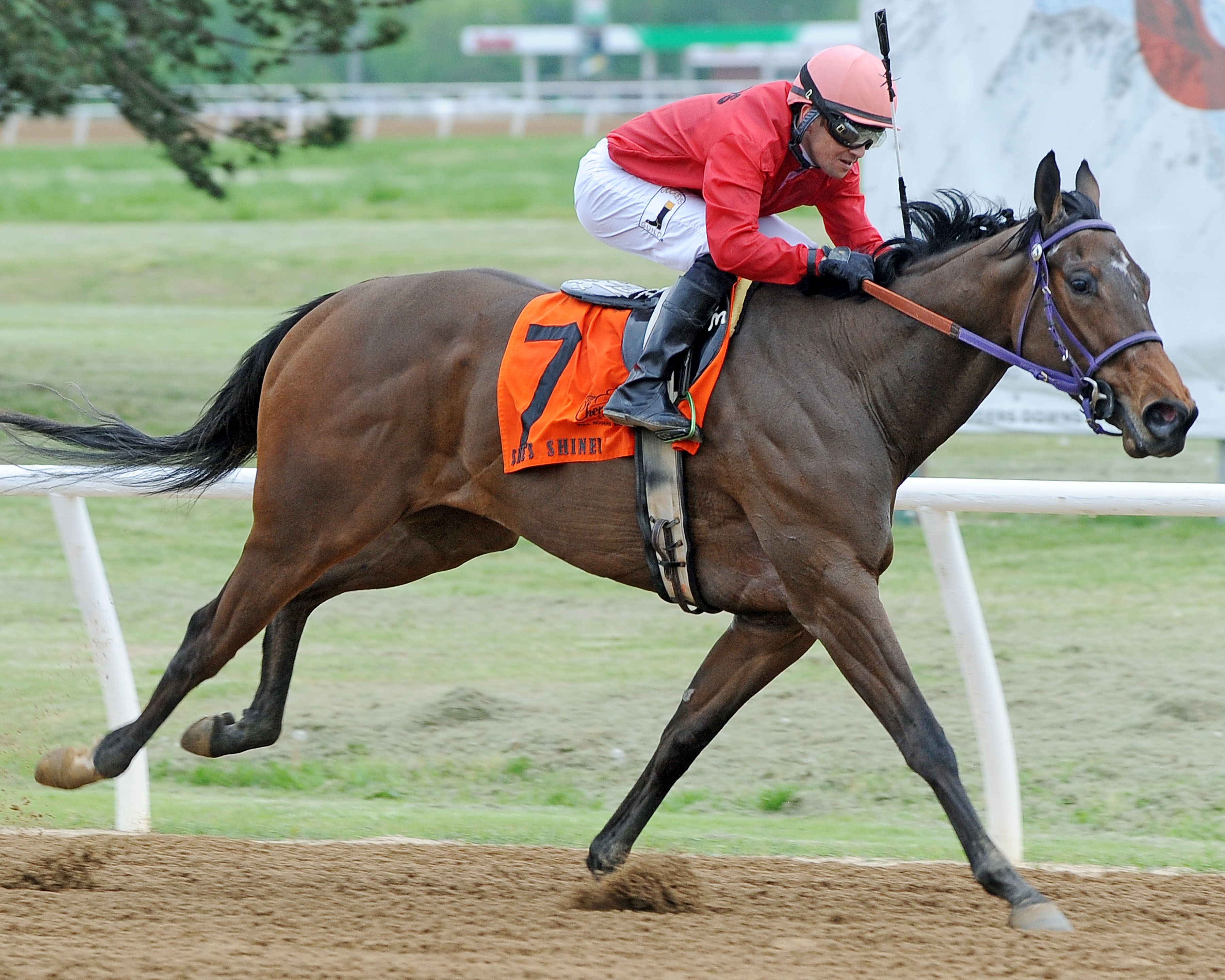 She-s Shiney wins the 2019 Cinema Stakes