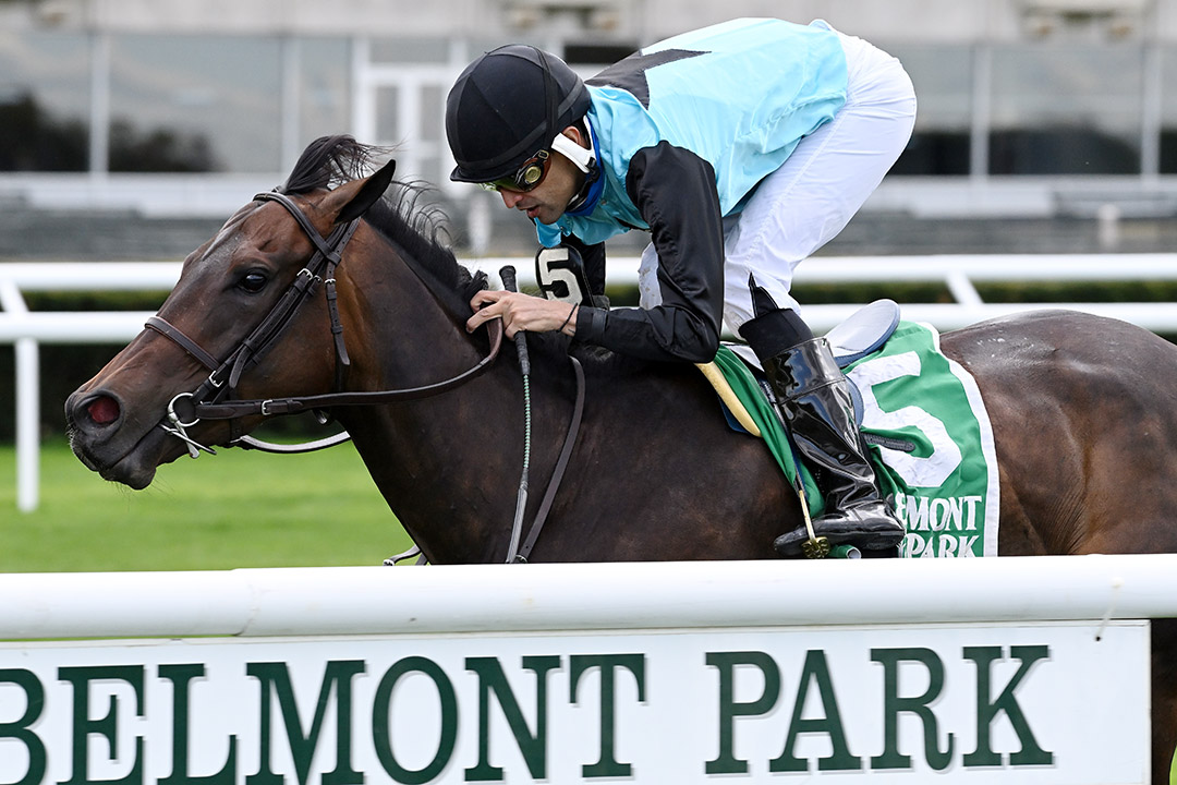 She's My Type wins the 2021 License Fee Stakes at Belmont Park