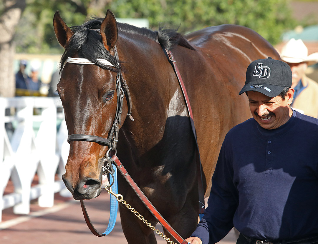 She's Our Charm at Santa Anita Park in March 2020
