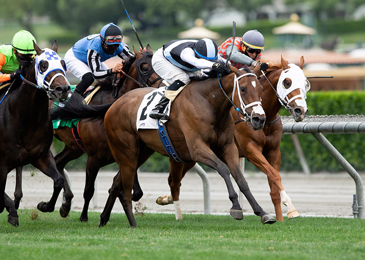She's So Special wins the 2020 Desert Code Stakes at Santa Anita