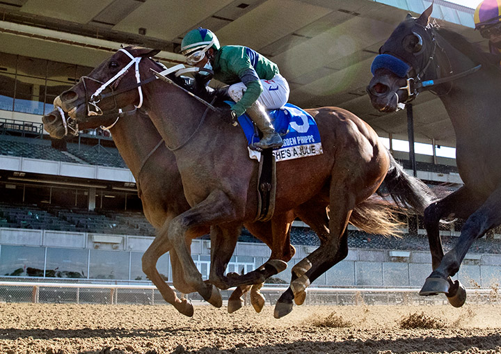 She's a Julie (No. 3) wins the Ogden Phipps at Belmont Park