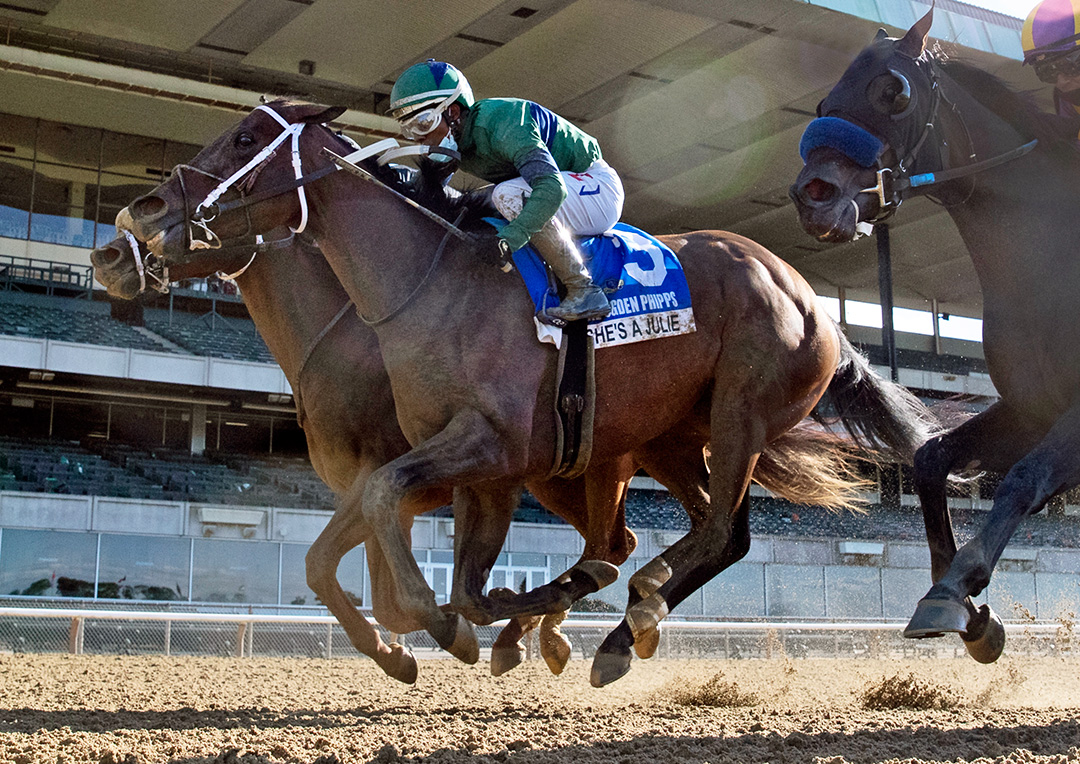 She's a Julie (3) wins the 2020 Ogden Phipps at Saratoga Race Course