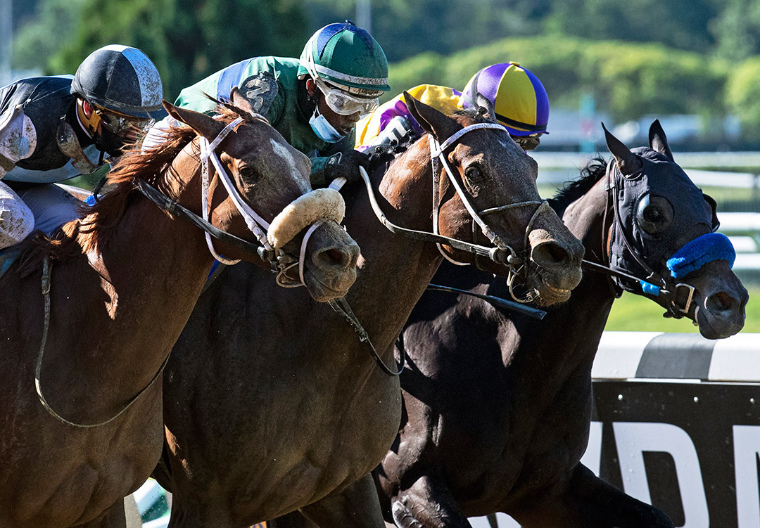 She's a Julie (center) wins the 2020 Ogden Phipps Stakes at Belmont Park