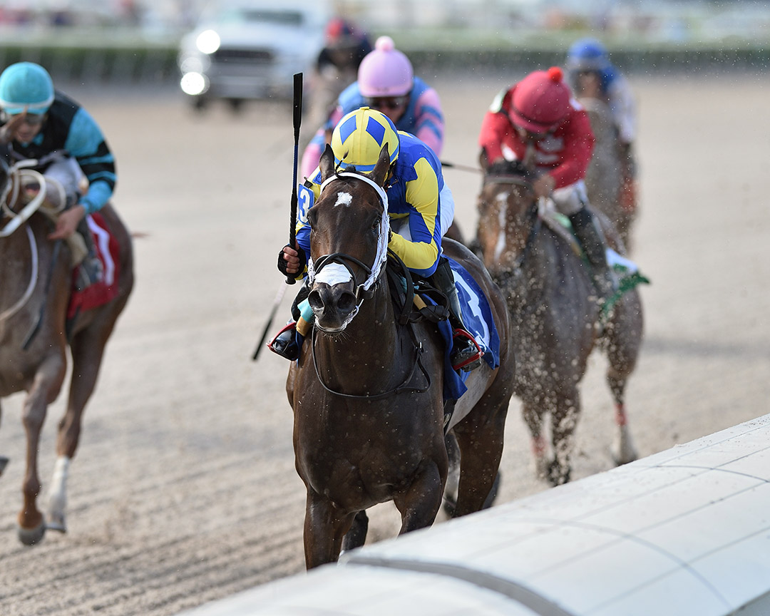 Shea D Summer wins the 2021 Game Face Stakes at Gulfstream Park