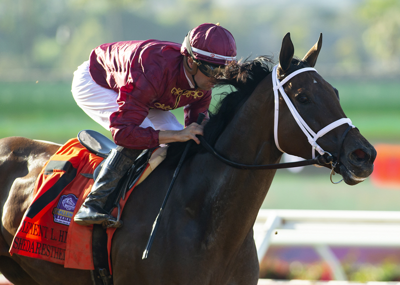 Shedaresthedevil wins Clement Hirsch Stakes 8-1-2021