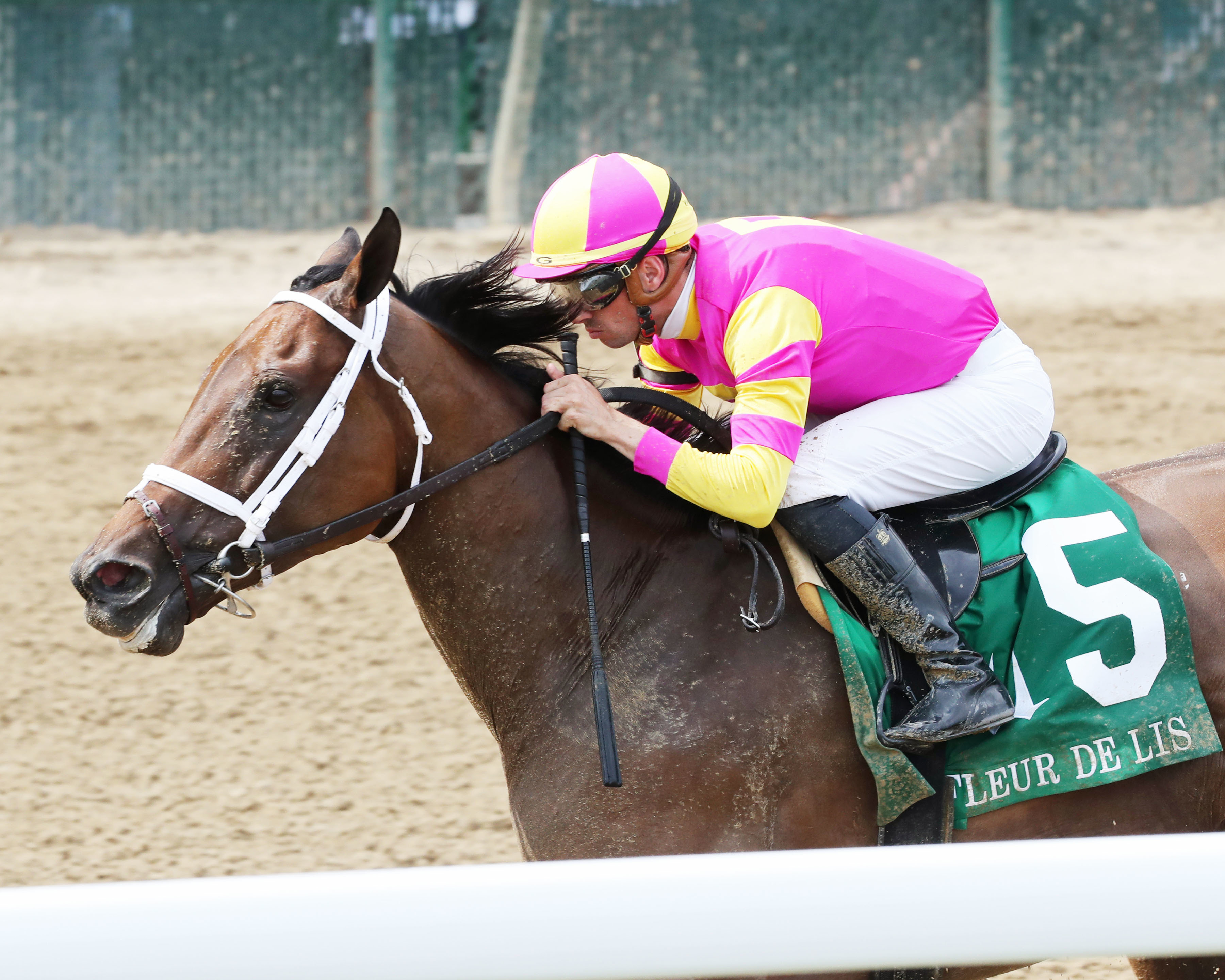 Shedaresthedevil wins the Fleur de Lis at Churchill on July 2 2022