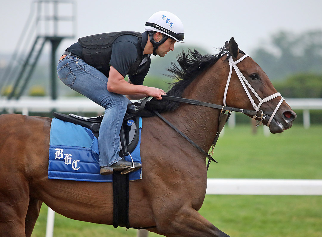 Shedaresthedevil trains at Belmont Park on June 3