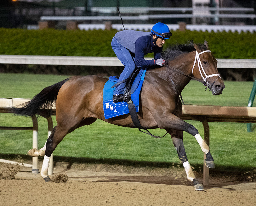 Shedaresthedevil trains at Churchill Downs on April 17