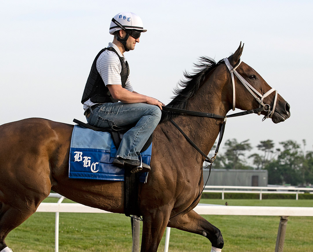 Shedaresthedevil at Belmont Park on June 2