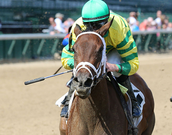 Shedaresthedevil wins a June 13 maiden race at Churchill Downs