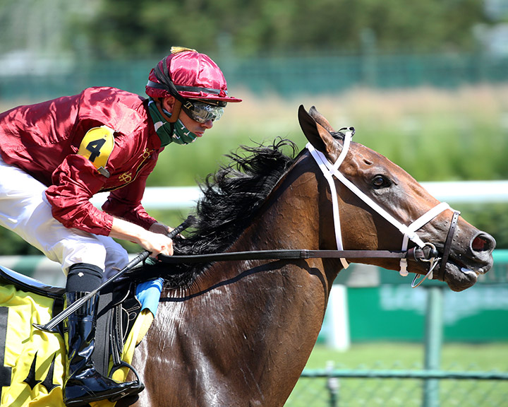 Shedaresthedevil wins a June 5 allowance race at Churchill Downs