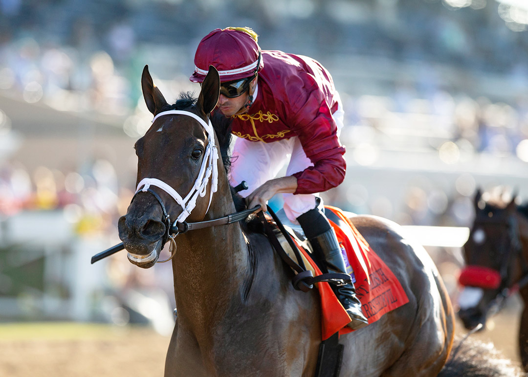Shedaresthedevil wins the 2021 Clement Hirsch Stakes at Del Mar