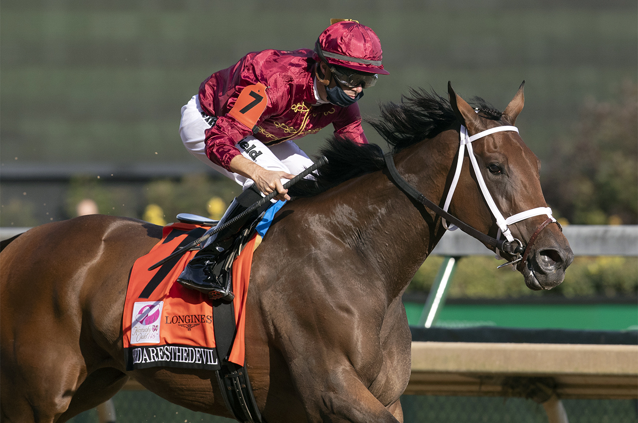 ECLIPSE 3yo filly Shedaresthedevil
