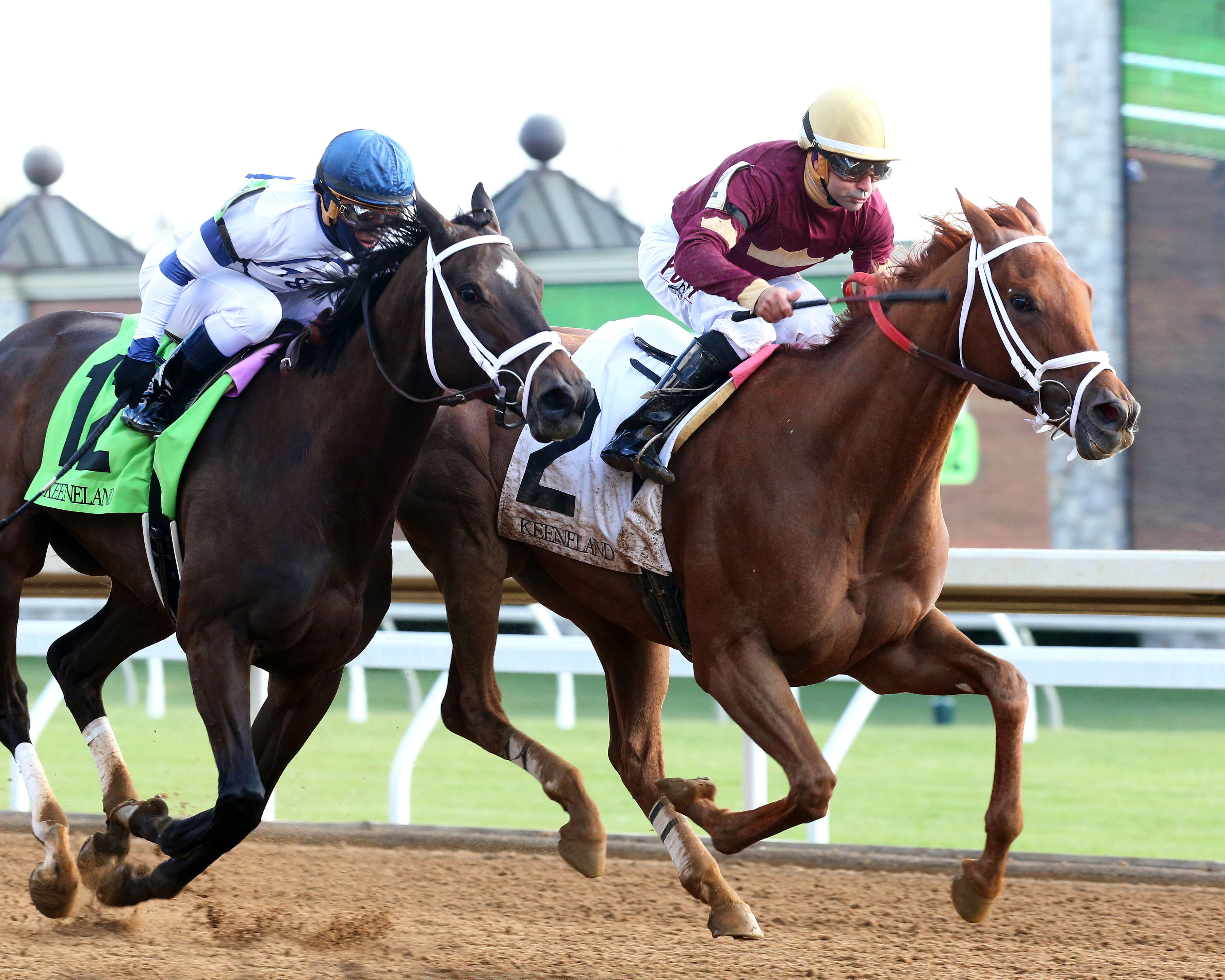 Sheer Drama wins the Madison