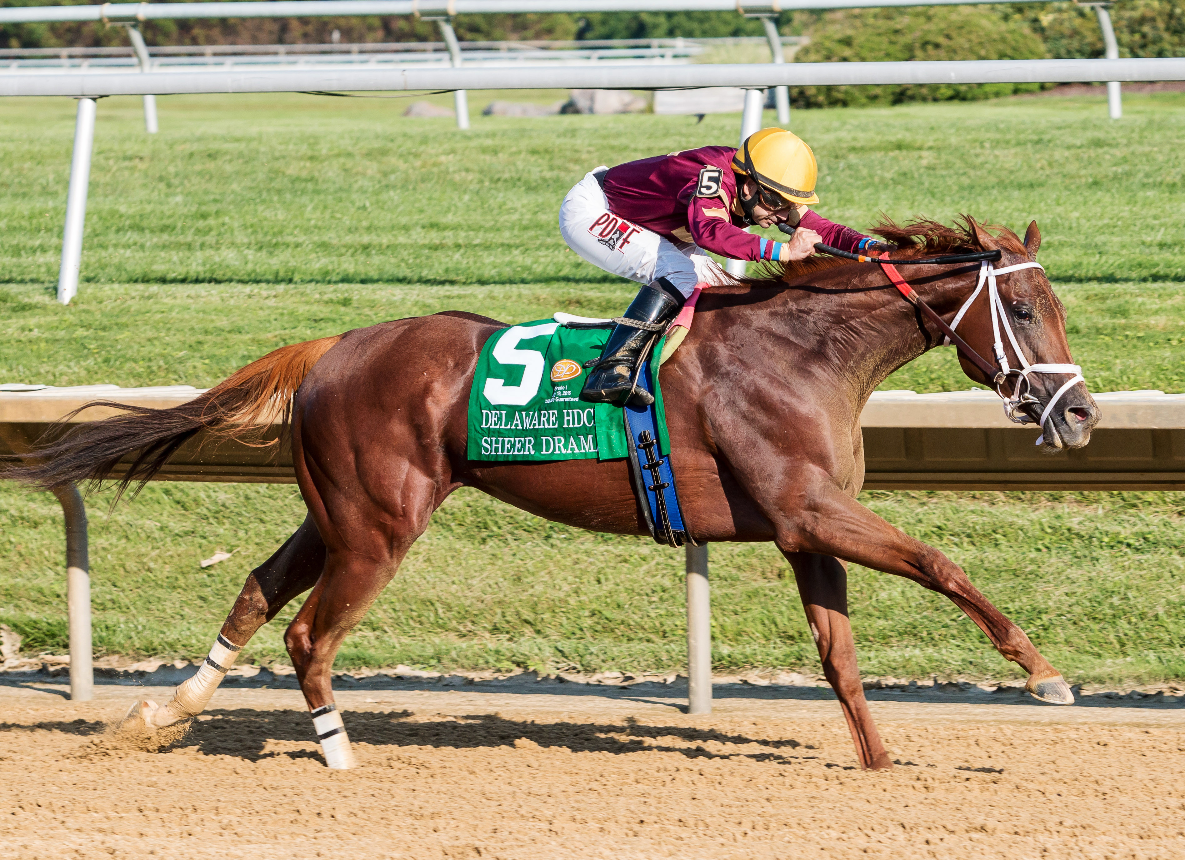 Sheer Drama wins the Delaware Handicap