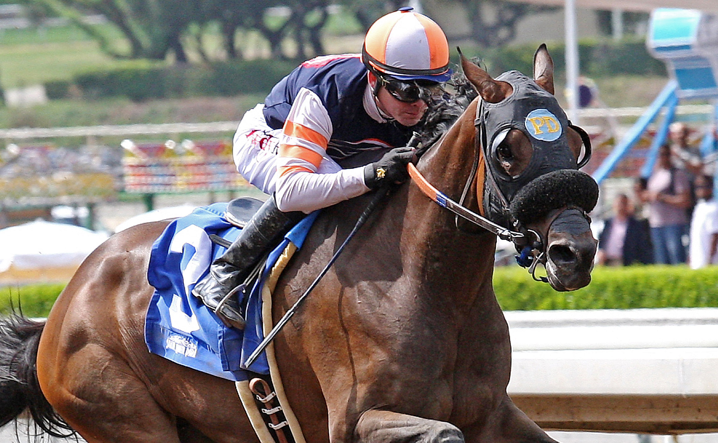 Sheer Pleasure wins the Melair