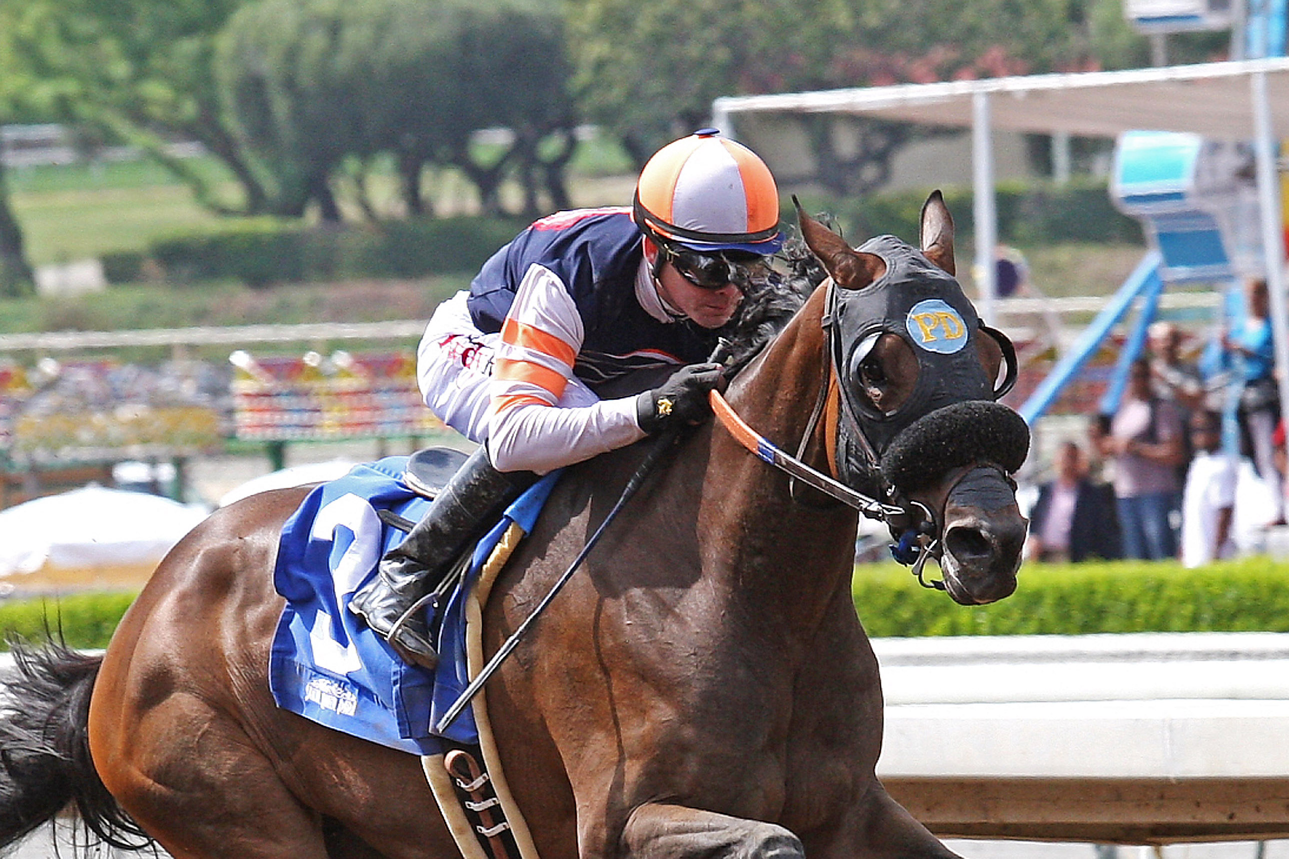 Sheer Pleasure wins the Melair Stakes