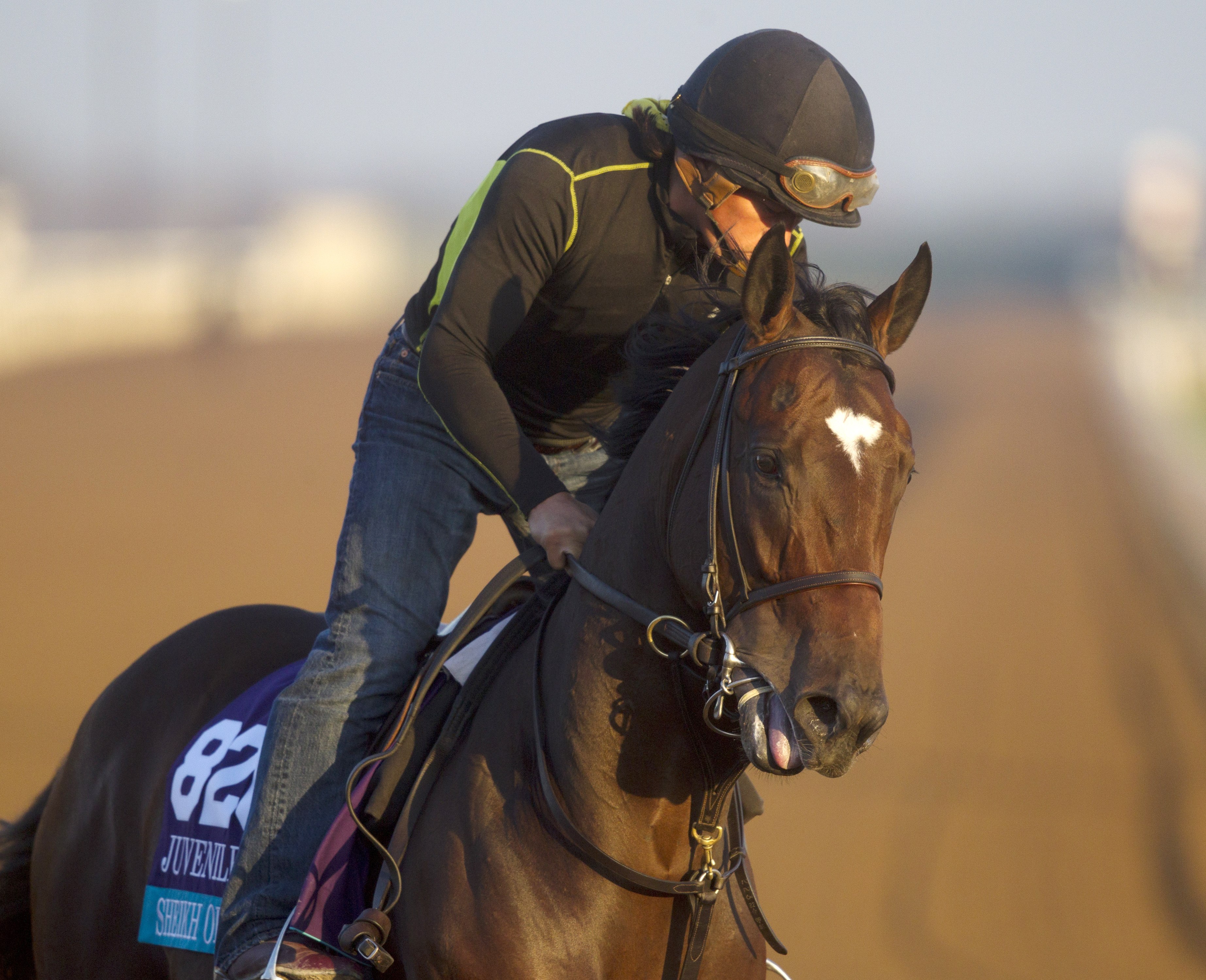 Sheikh of Sheikhs at Keeneland on Oct. 23