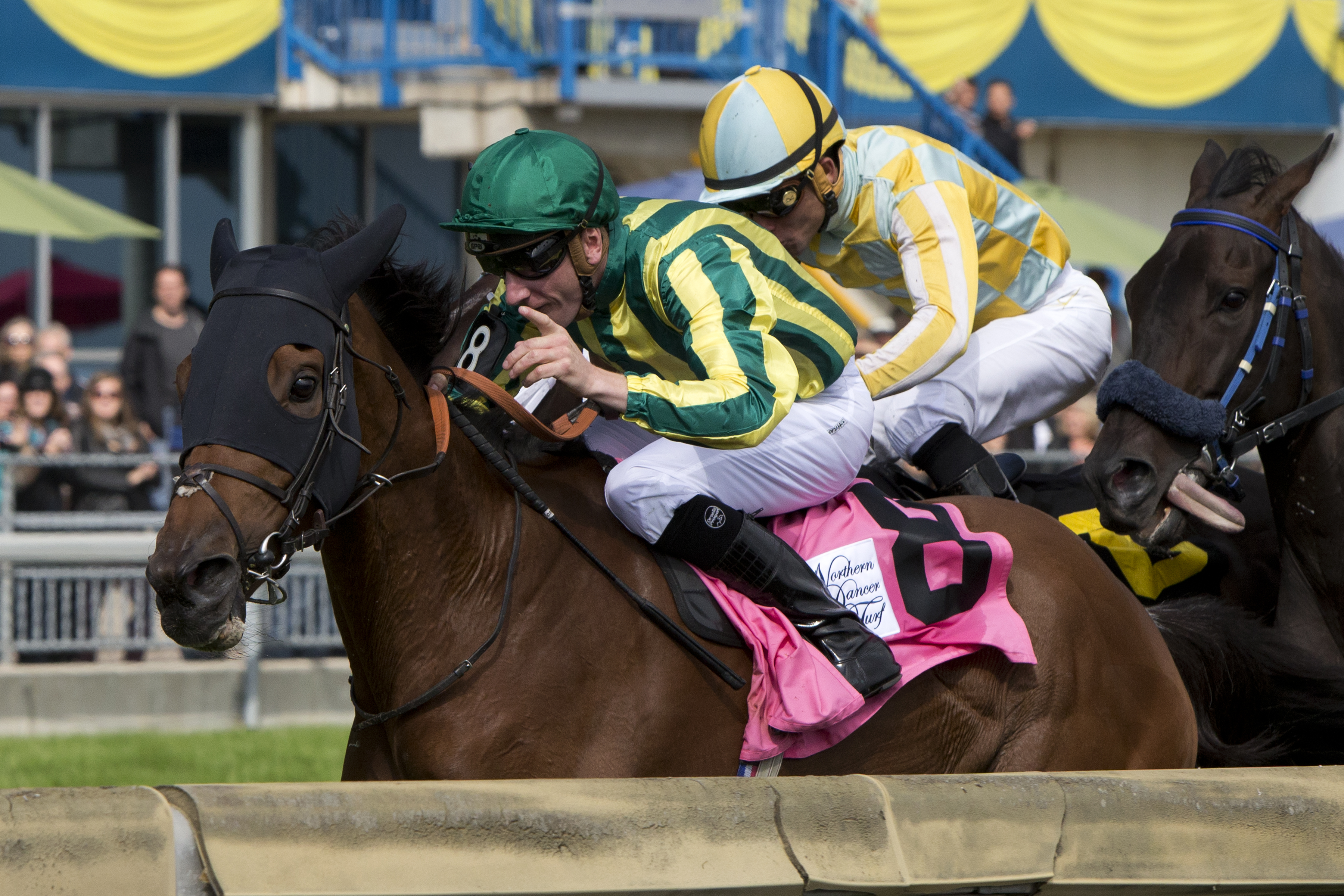 Sheikhzayedroad wins 2014 Northern Dancer Turf