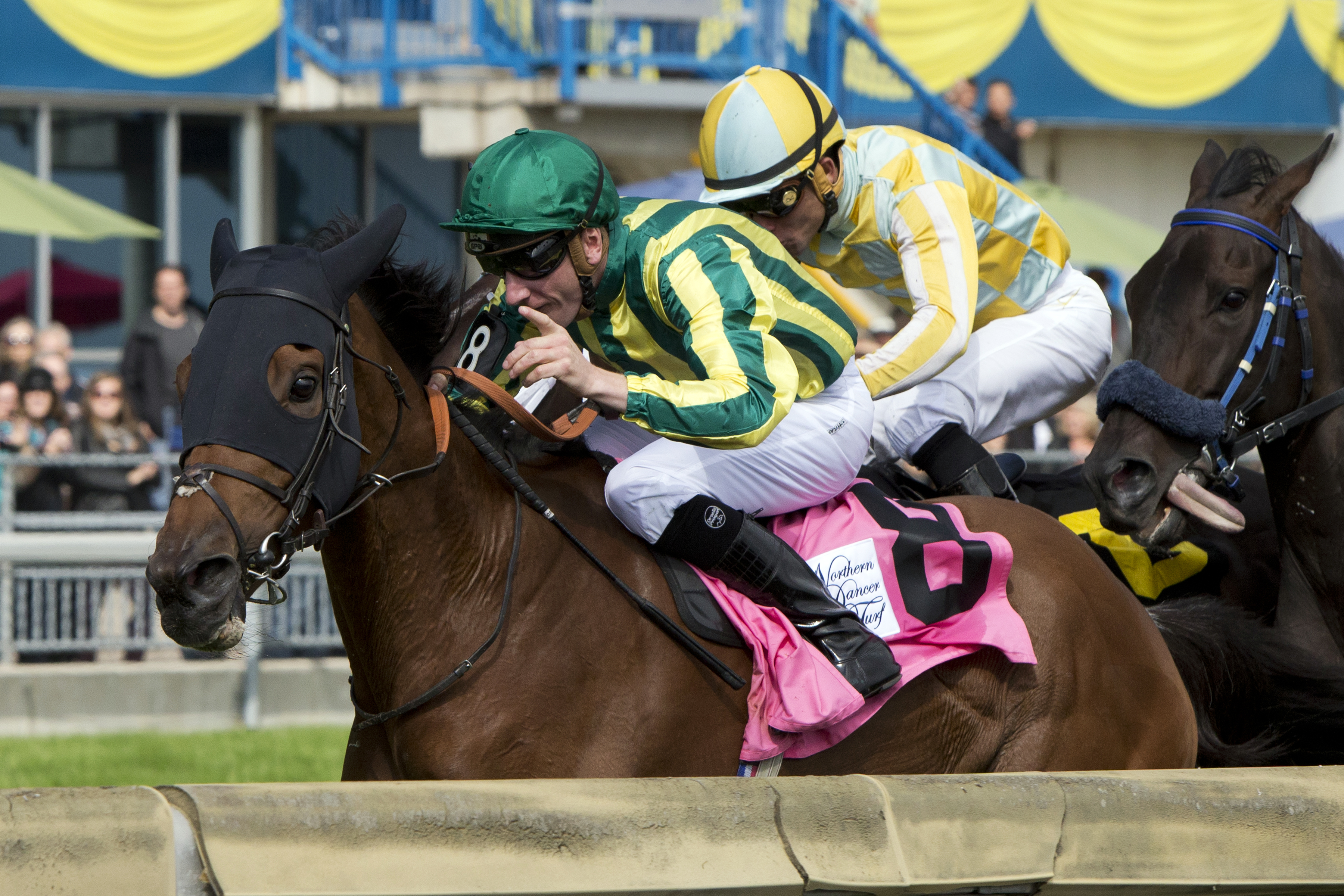 Sheikhzayedroad wins the Northern Dancer Turf