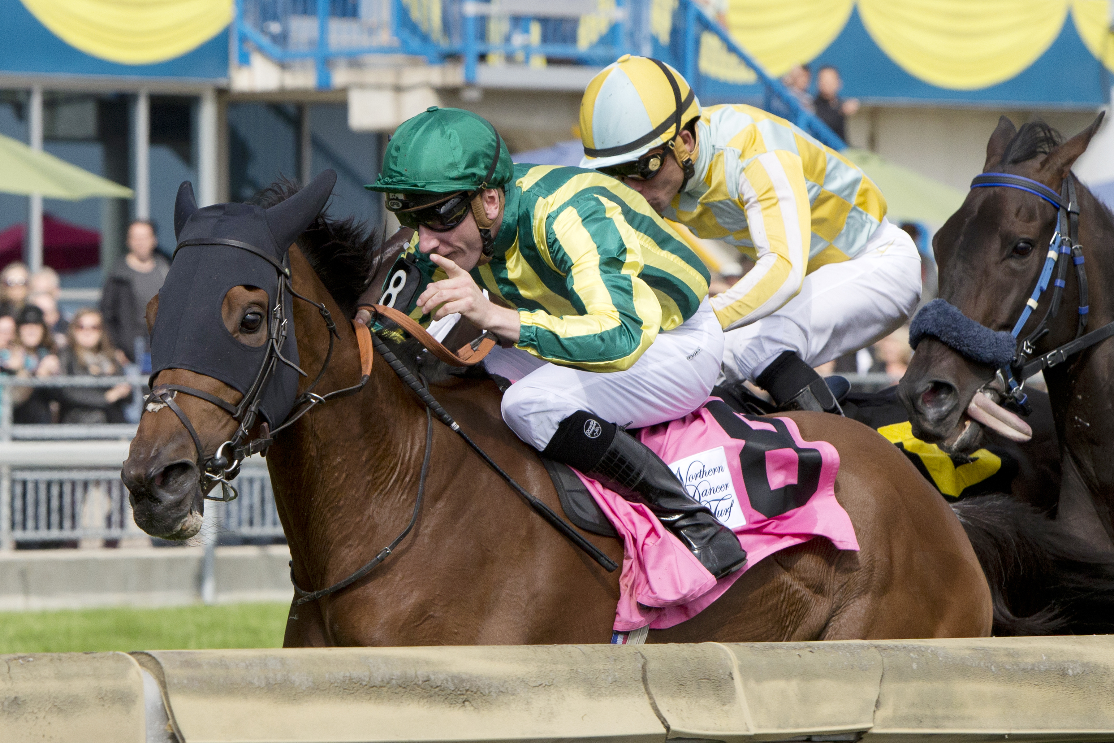 Sheikhzayedroad wins the 2014 Northern Dancer