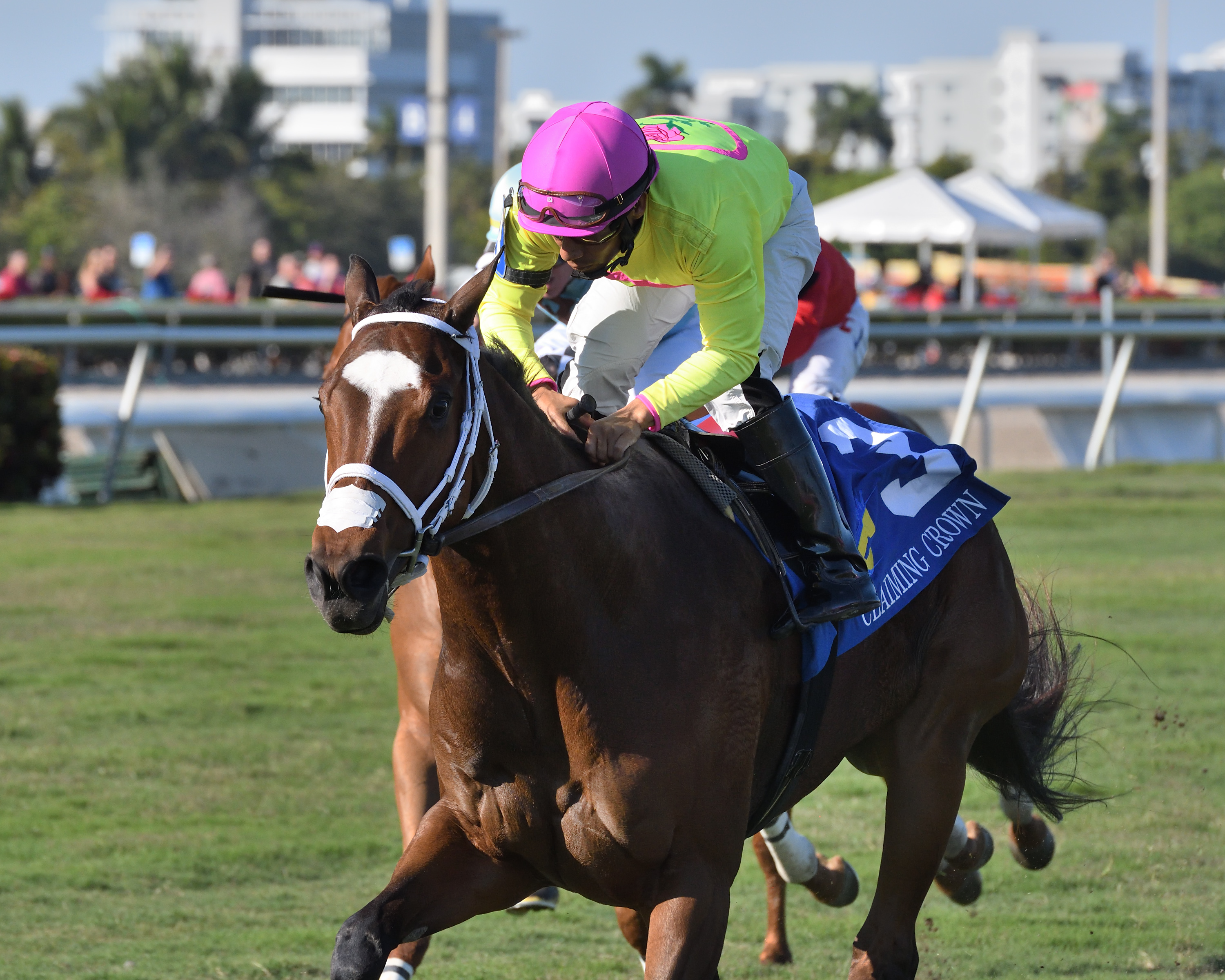 Shekky Shebaz wins the 2019 Claiming Crown Canterbury