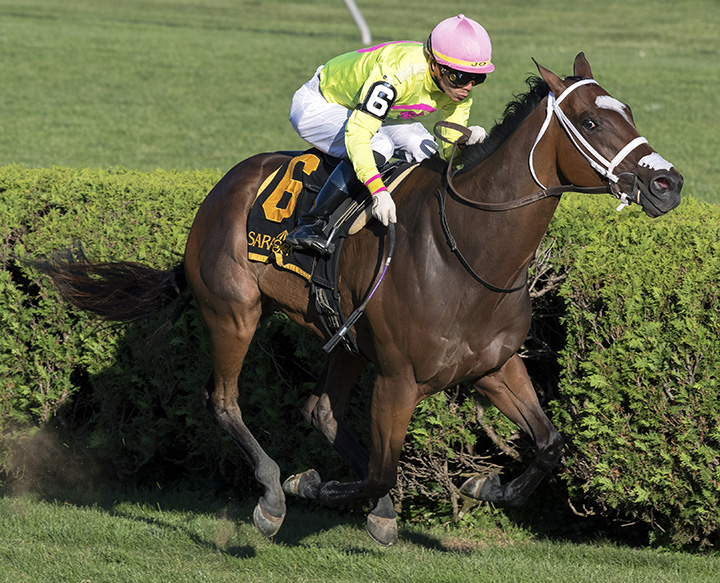 Shekky Shebaz wins the Lucky Coin Stakes at Saratoga Race Course