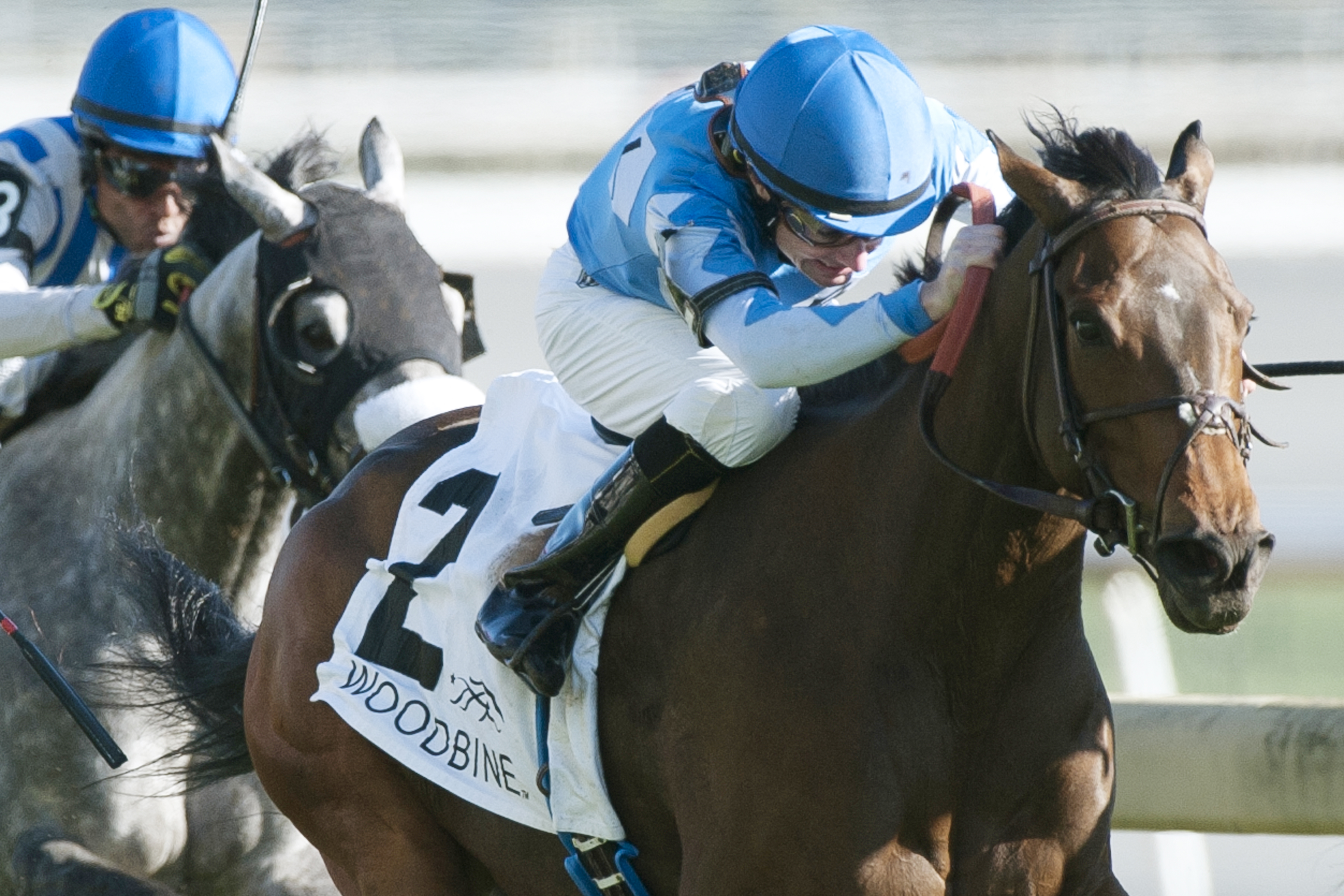 Shelbysmile wins the River Memories Stakes
