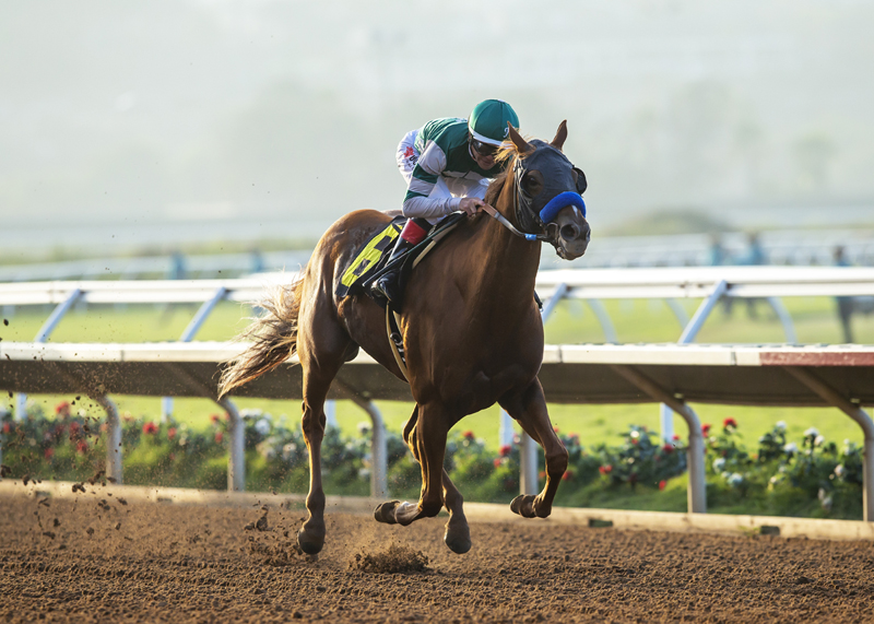 Shenandoah Queen wins the Tranquility Lake